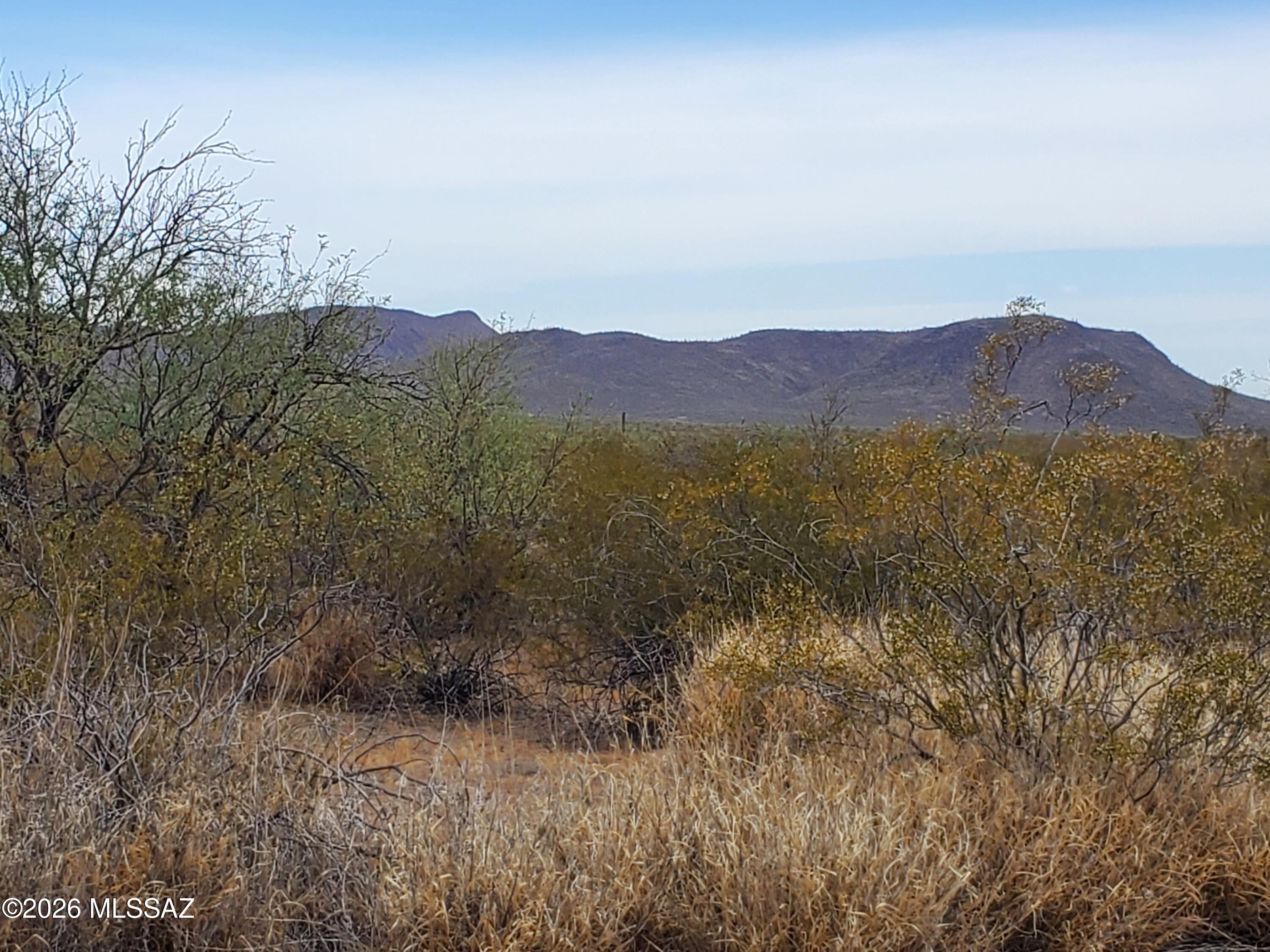 7925 South Worden Road Tucson, AZ 85735 - Photo 7 of 20 a view of an outdoor space with mountain view
