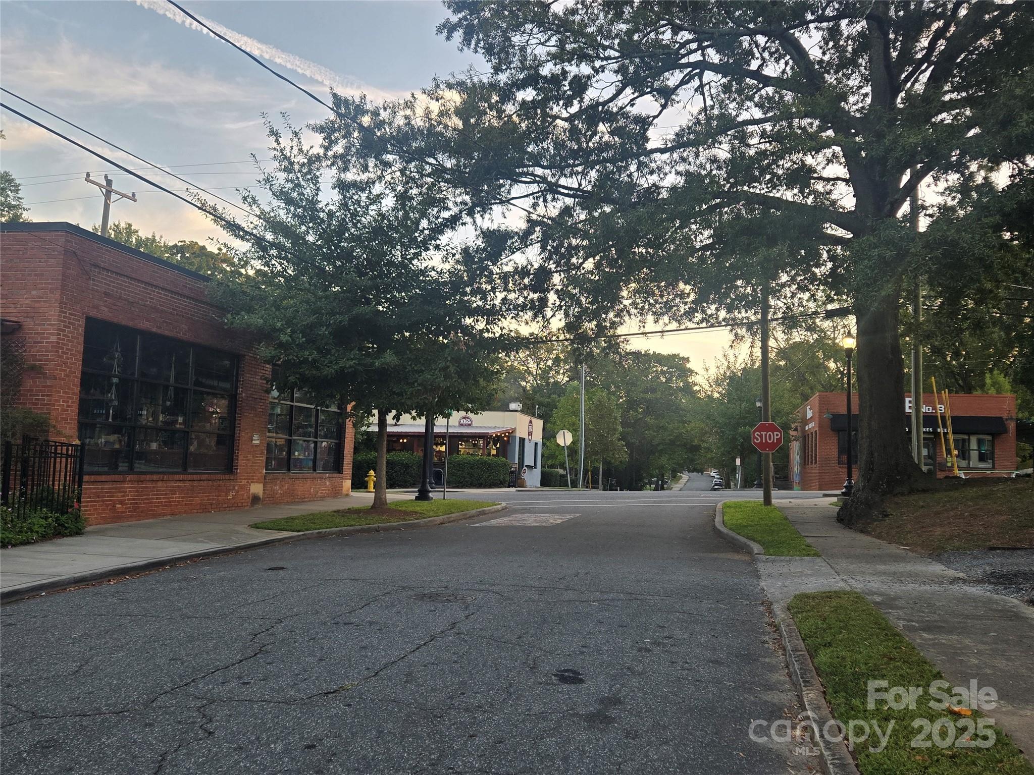 1015 Harrill Street Charlotte, NC 28205 - Photo 2 of 3