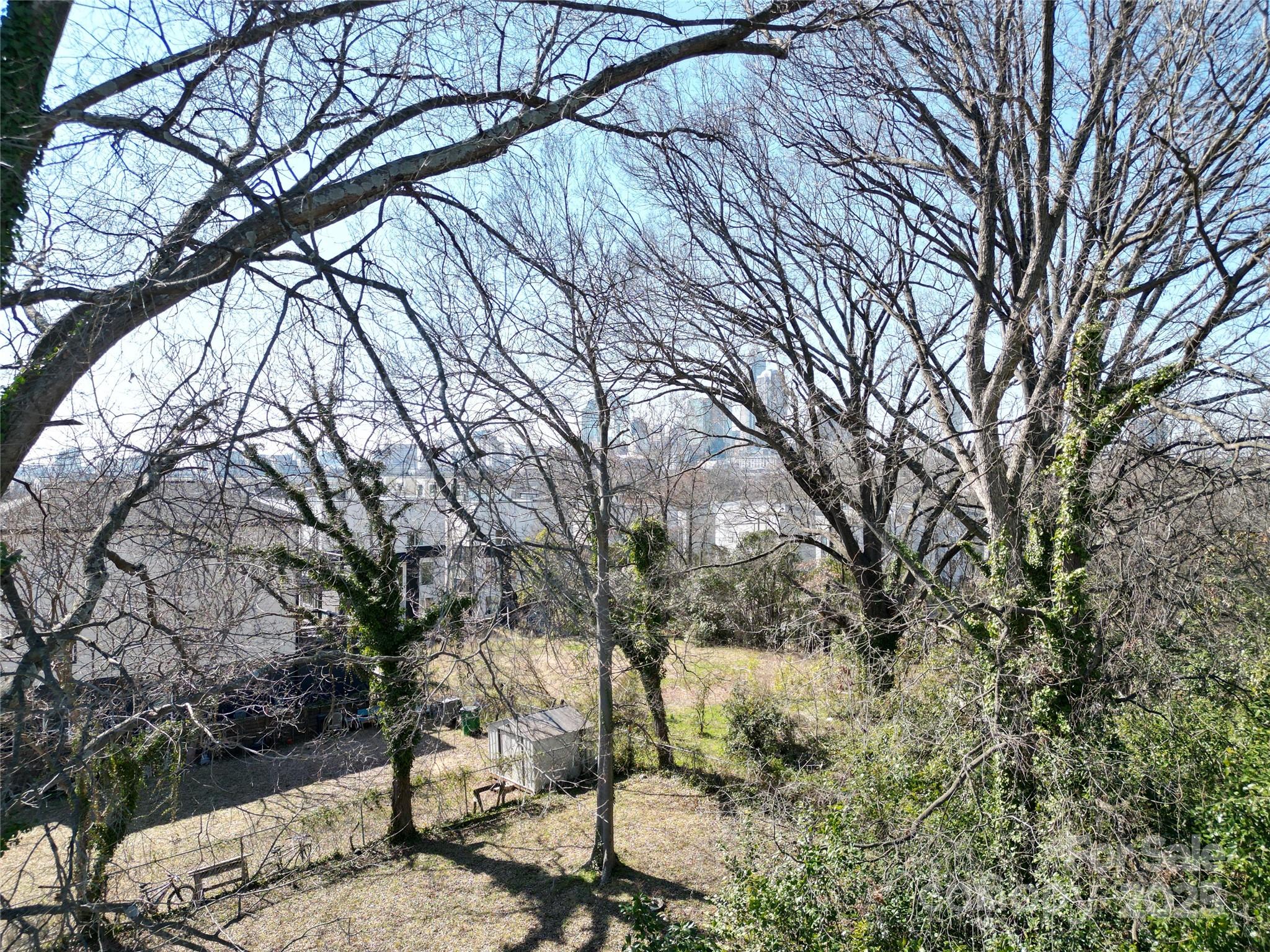 1015 Harrill Street Charlotte, NC 28205 - Photo 3 of 3