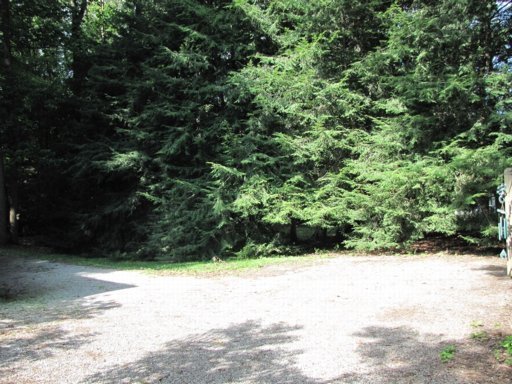 121 Oak Road Norris, TN 37828 - Photo 4 of 12 Wooded area to the rear