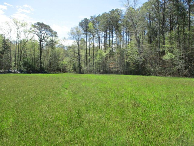 113 Martin Road, Unit 113 Danville, VA 24541 - Photo 10 of 10