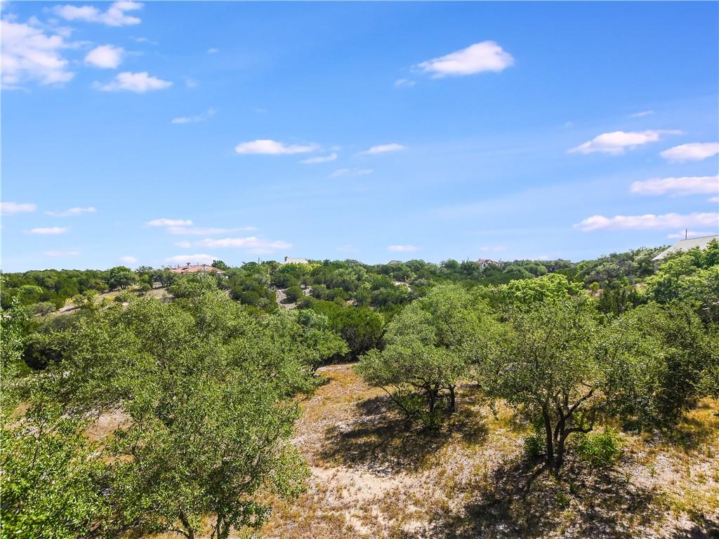 13301 Lone Rider Trail Bee Cave, TX 78738 - Photo 9 of 22 A tranquil panorama of lush green trees extends towards distant homes under a vast blue sky.