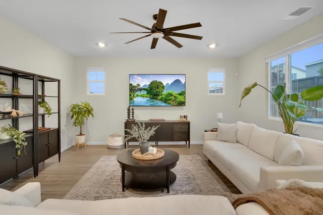 a living room with furniture and a potted plant