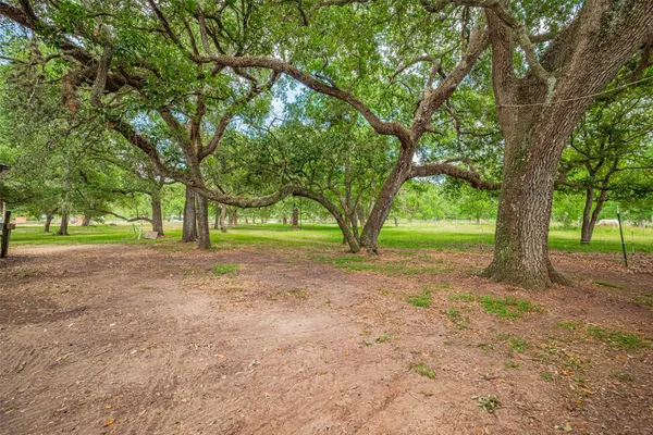 a view of a park with tree s
