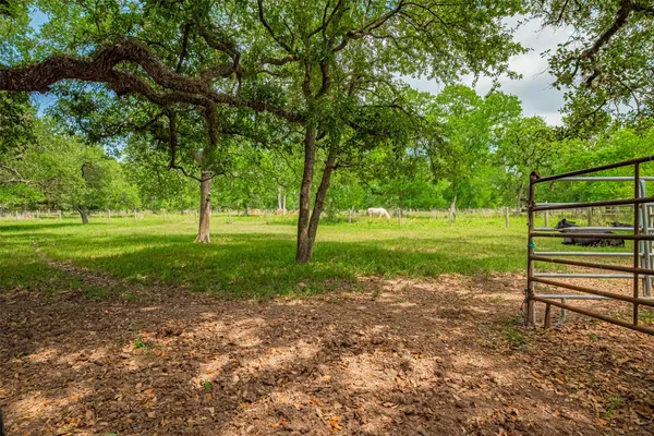 a view of a yard with tree s