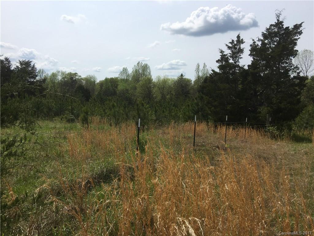 4041 Red Fox Road Lancaster, SC 29720 - Photo 3 of 16 a view of a yard with a tree