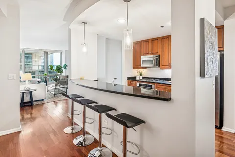 $575,000 | 160 East Illinois Street, Unit 1008, Chicago, IL 60611