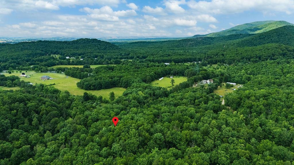 Tbd Calf Mountain Road Waynesboro, VA 22980 - Photo 16 of 36