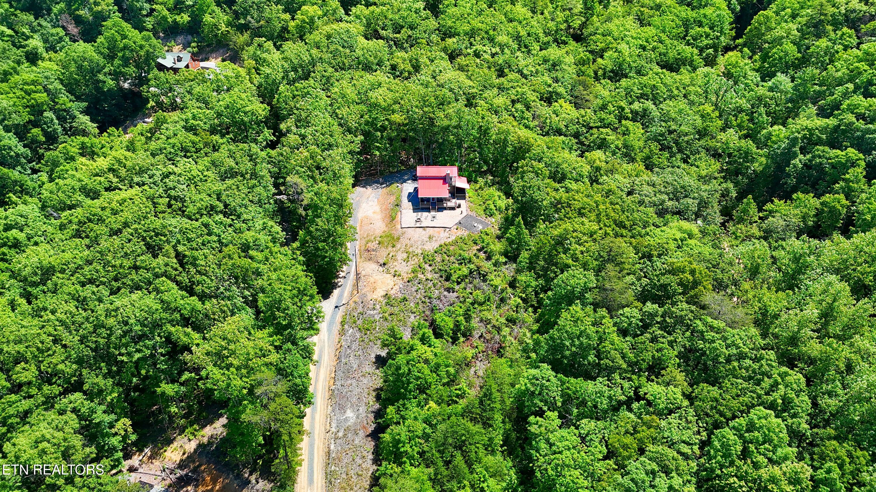 264 Curry Way Del Rio, TN 37727 - Photo 6 of 40 PRIVATE ACREAGE