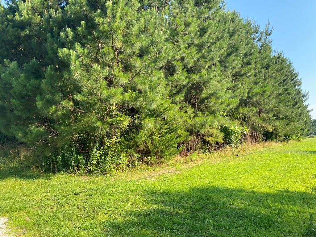 0 Hopeton Road, Unit 2 Bloxom, VA 23308 - Photo 1 of 3