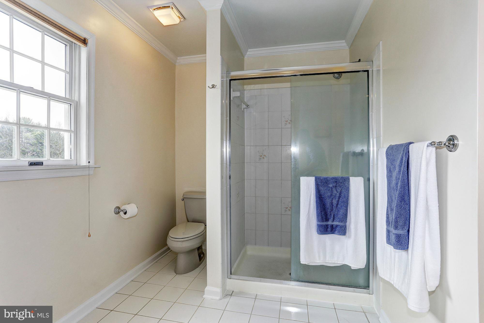 13000 12 Hills Road Clarksville, MD 21029 - Photo 17 of 30 Master Bath