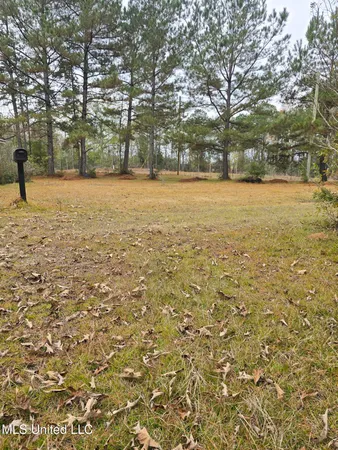 $110,000 | 46 Matilda Lane, Newhebron, MS 39140