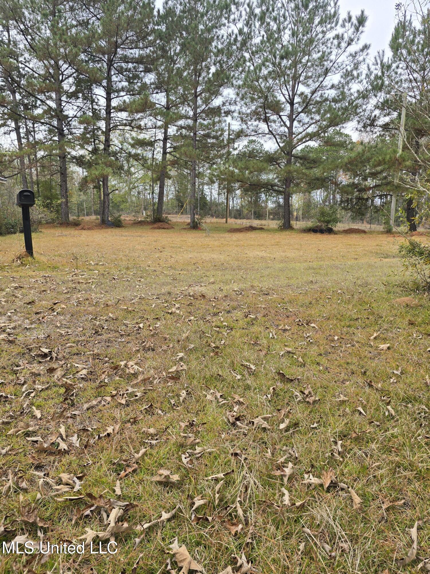 46 Matilda Lane Newhebron, MS 39140 - Photo 4 of 4 Front yard