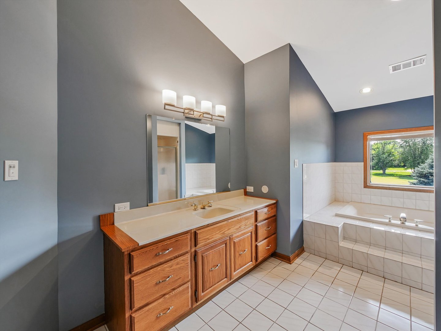 7240 West Colleen Court Monee, IL 60449 - Photo 35 of 57 a spacious bathroom with a tub sink and mirror
