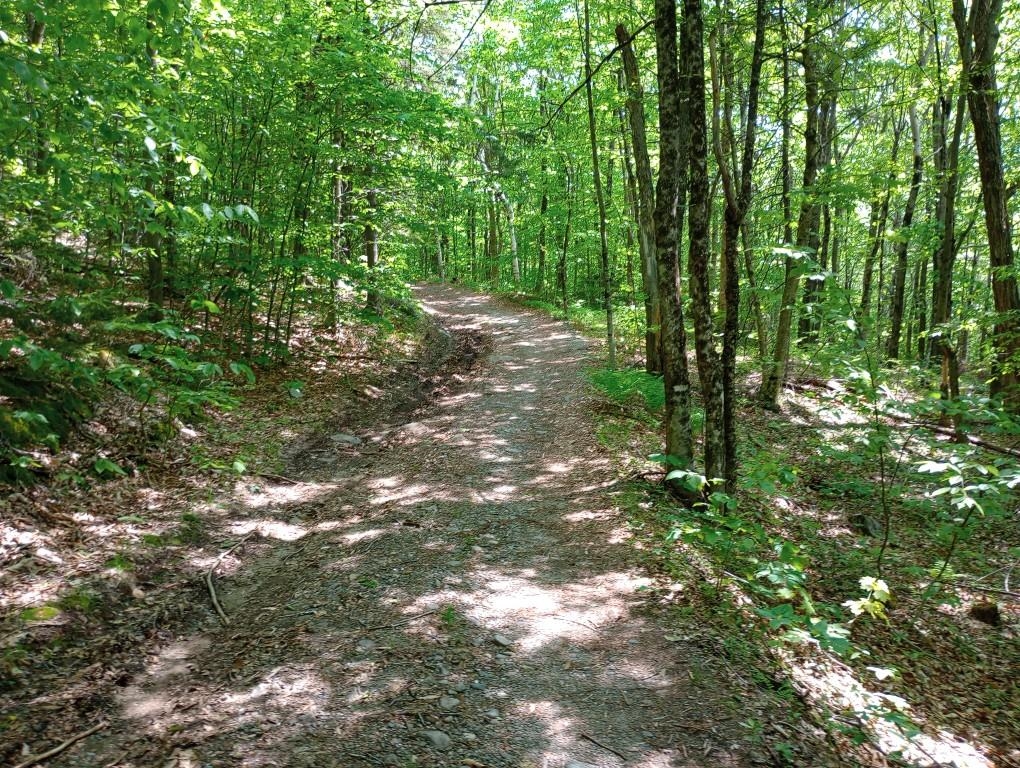 Hill Road Grafton, NH 03240 - Photo 10 of 26 Gallery Image 10