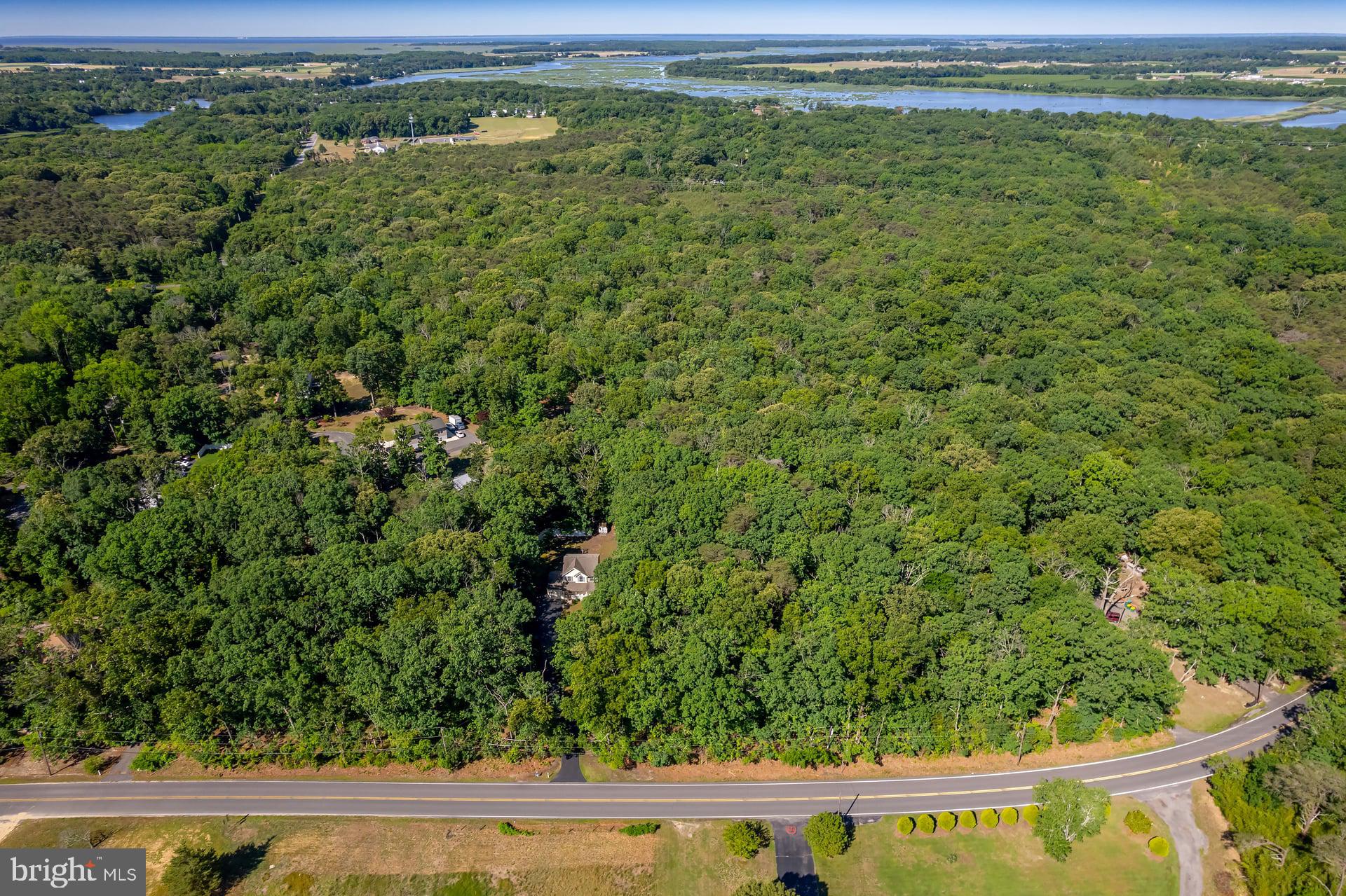 164 Clarks Pond Road Bridgeton, NJ 08302 - Photo 13 of 27 Expansive wooded retreat awaits you.