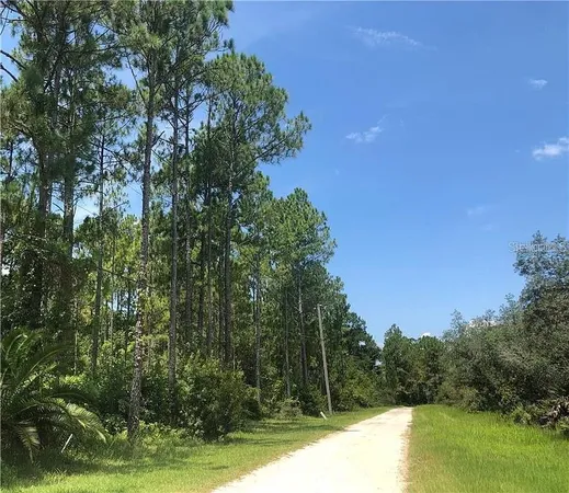 $260,000 | 0 Thacker Trail, Kissimmee, FL 34747