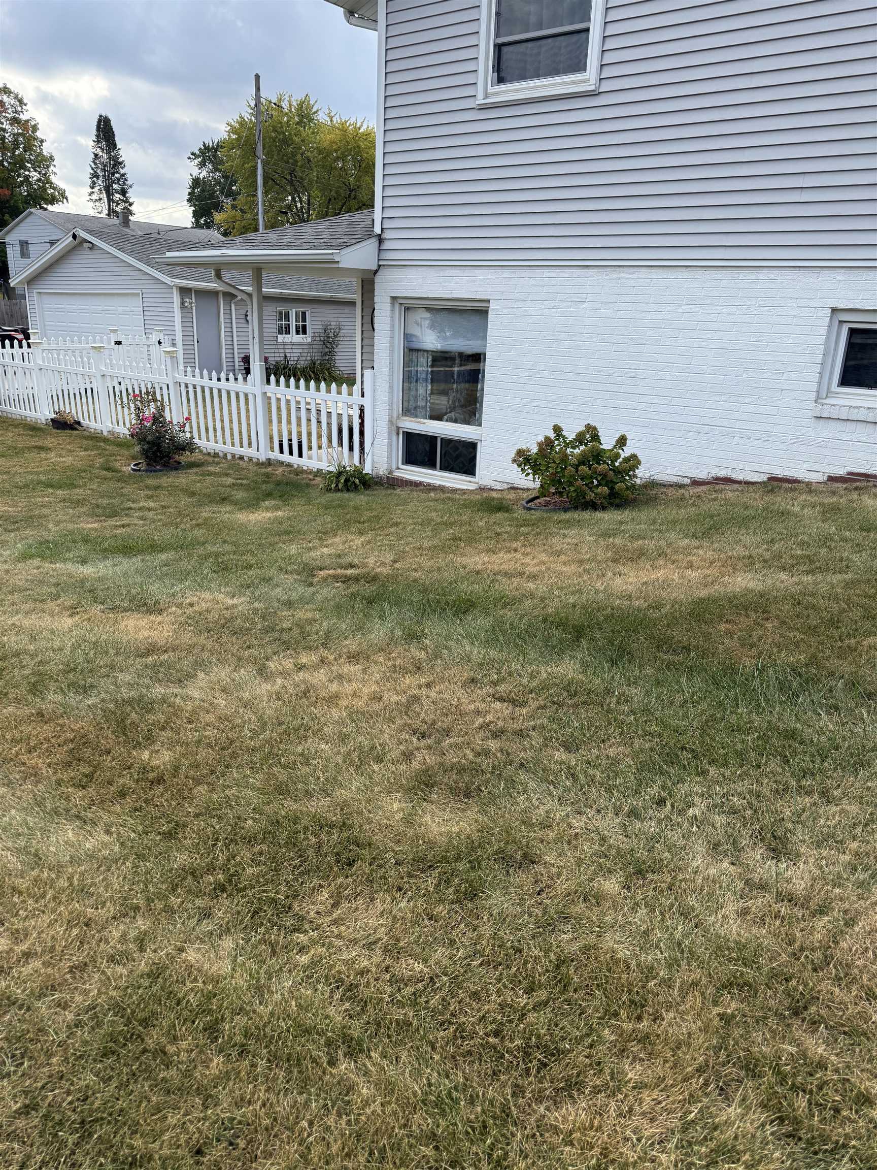 1909 West Laurel Street Freeport, IL 61032 - Photo 31 of 32 a view of a house with a yard