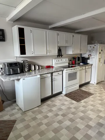 a view of a dining room and livingroom with furniture a rug a potted plant and a fireplace