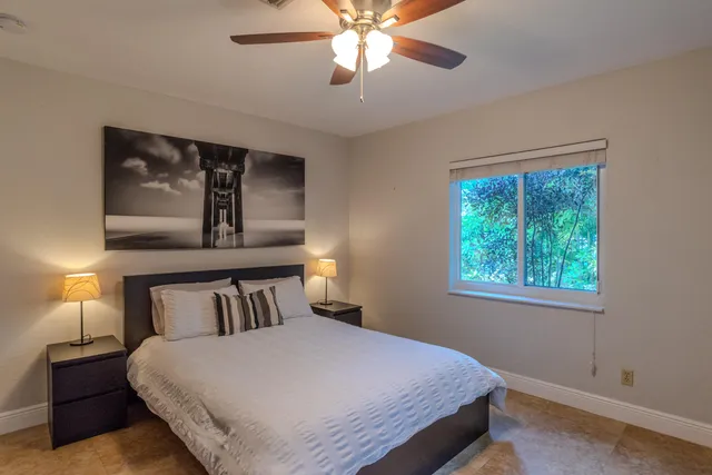 a view of a garden with potted plants