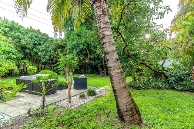 a view of a house with a tree
