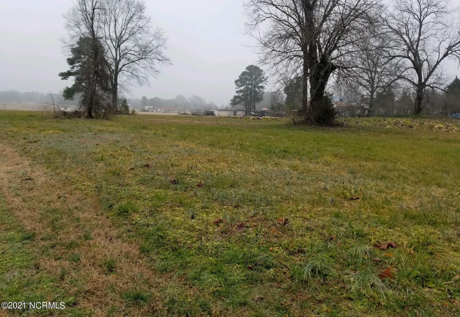 0 Lancaster Store Road Castalia, NC 27816 - Photo 2 of 2 20210215_152207