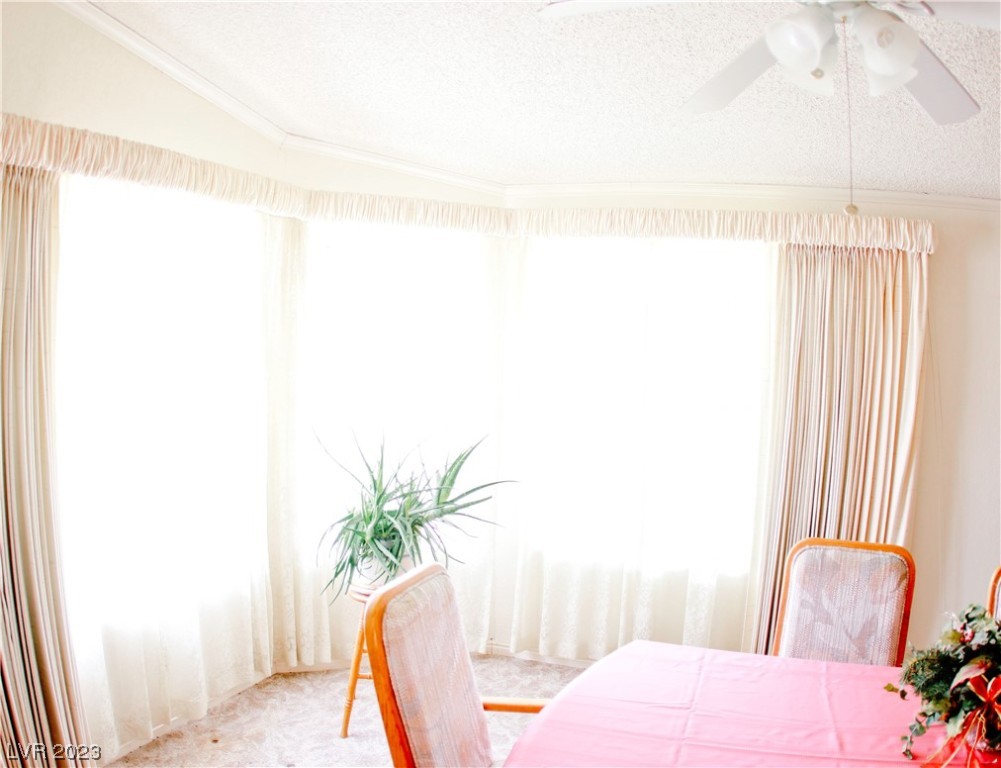 102 North 6th Street Panaca, NV 89042 - Photo 45 of 64