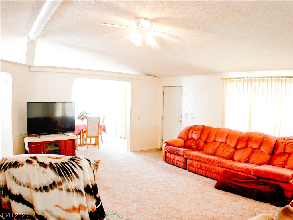 102 North 6th Street Panaca, NV 89042 - Photo 61 of 64