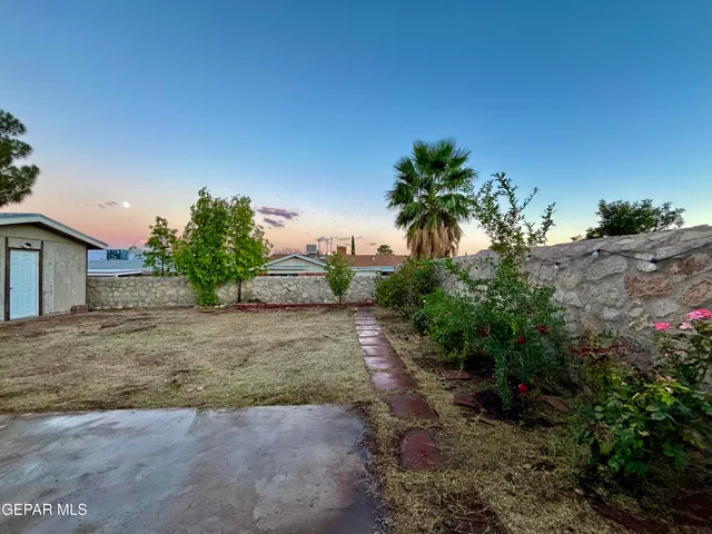 a view of a yard with plants and a trees
