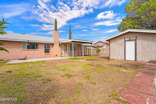 a palm tree sitting in a backyard of a house