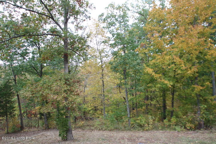 1200 Avenstoke Road Lawrenceburg, KY 40342 - Photo 14 of 14 IMG_5339