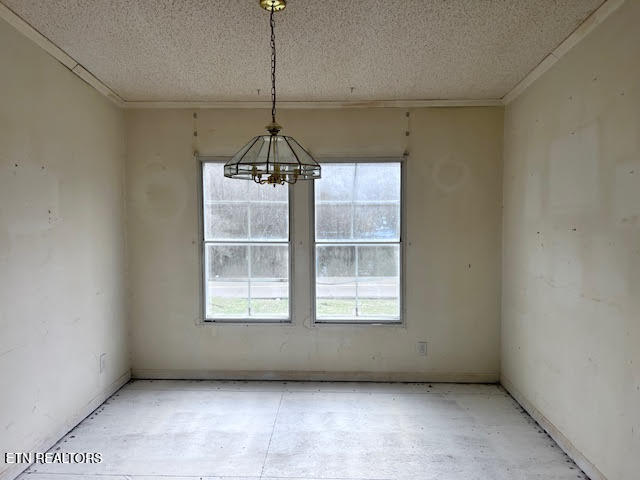 210 Stone Road Knoxville, TN 37920 - Photo 13 of 24 unnamed (12)