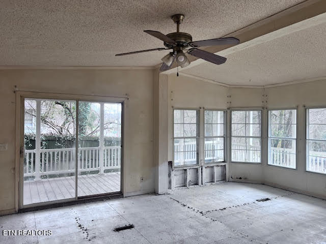 210 Stone Road Knoxville, TN 37920 - Photo 8 of 24 unnamed (11)