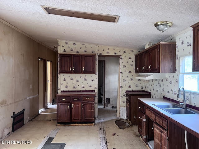 210 Stone Road Knoxville, TN 37920 - Photo 9 of 24 unnamed (18)