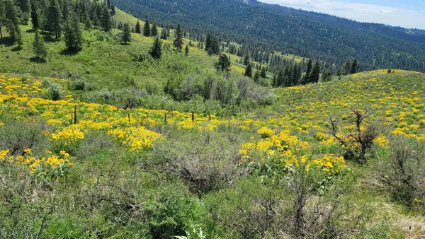 $1,700,000 | 2488 Lappin Lane, Council, ID 83612
