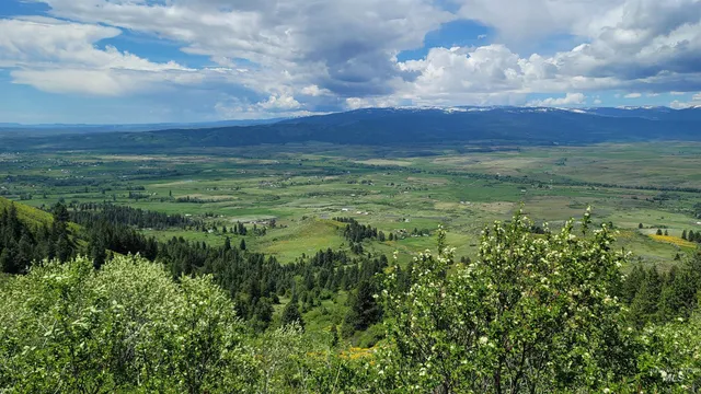 $1,700,000 | 2488 Lappin Lane, Council, ID 83612