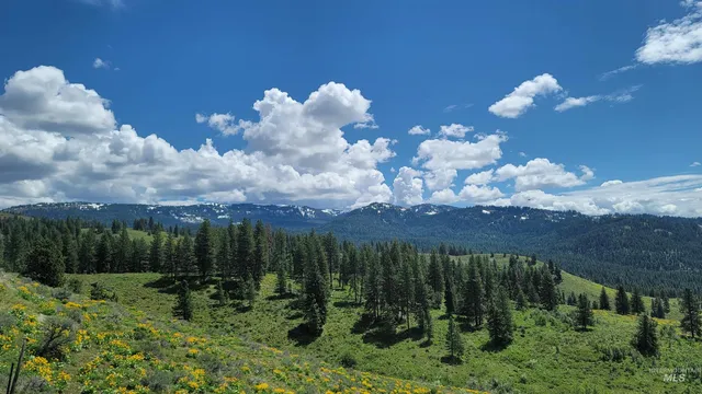 $1,700,000 | 2488 Lappin Lane, Council, ID 83612