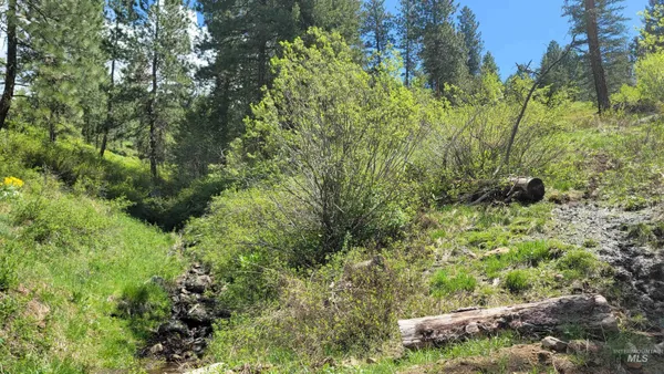 $1,700,000 | 2488 Lappin Lane, Council, ID 83612