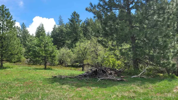 $1,700,000 | 2488 Lappin Lane, Council, ID 83612