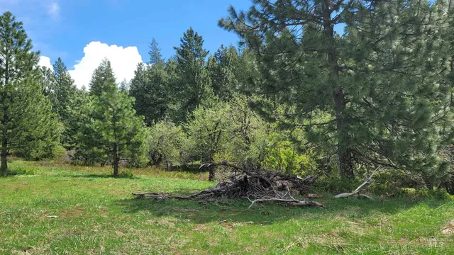 $1,700,000 | 2488 Lappin Lane, Council, ID 83612