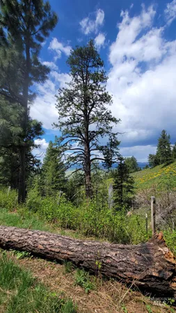 $1,700,000 | 2488 Lappin Lane, Council, ID 83612