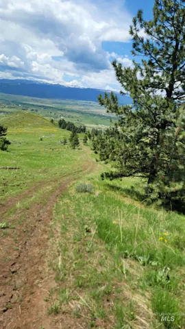 $1,700,000 | 2488 Lappin Lane, Council, ID 83612