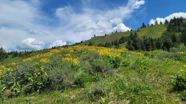 $1,700,000 | 2488 Lappin Lane, Council, ID 83612