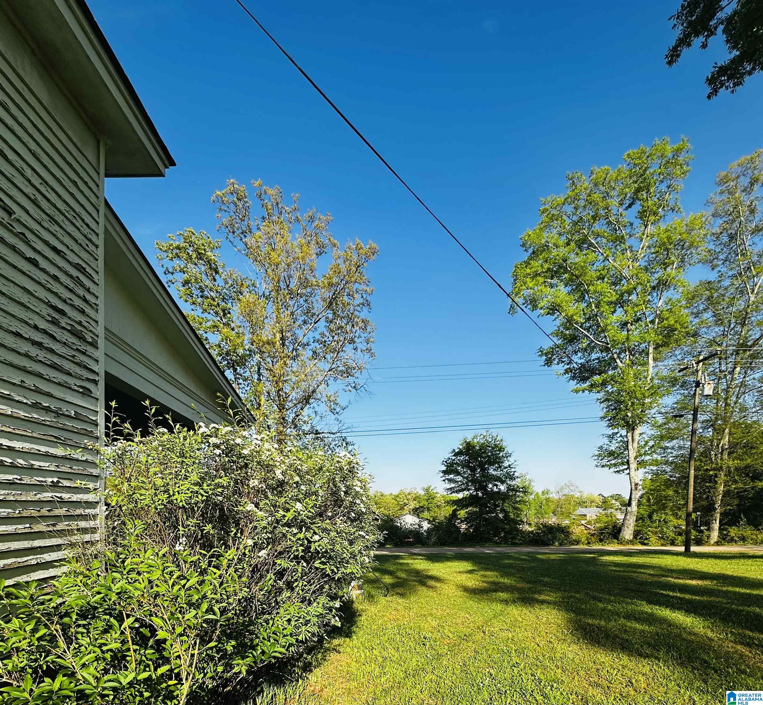 355 Knowles Avenue Lineville, AL 36266 - Photo 48 of 54