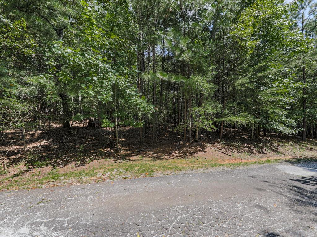 140 Joe Green Lane Canton, GA 30114 - Photo 3 of 8 a view of a yard with a tree