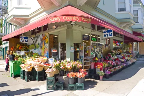 $1,850,000 | 169 Parnassus Avenue, San Francisco, CA 94117