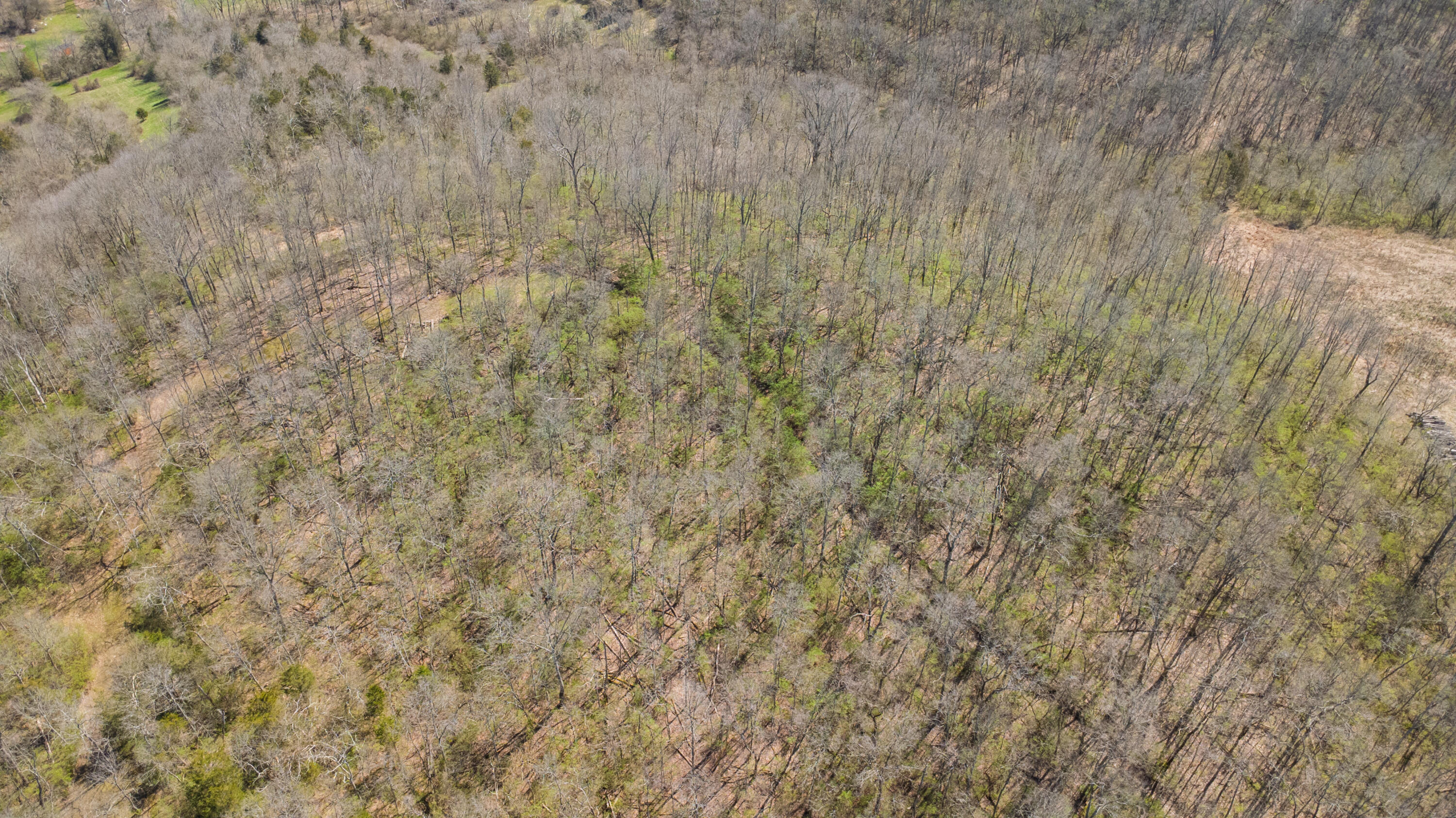 0 Washington Trace Road California, KY 41007 - Photo 7 of 23 Gallery Image 7