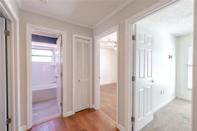 $2,950 | 3968 Orchard Hill Circle, Palm Harbor, FL 34684