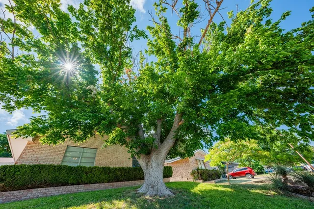 a small yard in front of a house with a tree