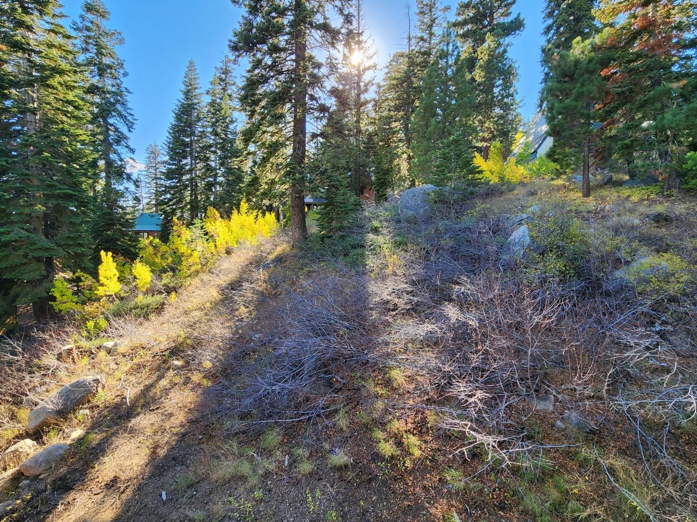148 John Ebbetts Road Bear Valley, CA 95223 - Photo 8 of 10 a view of swimming pool with a yard